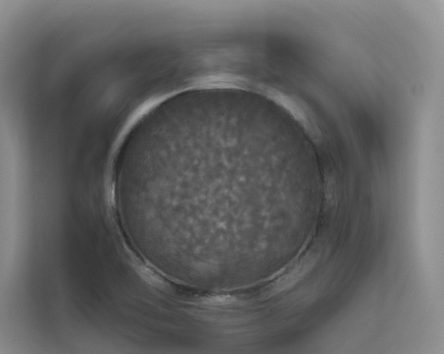 X0000112161462200908071128