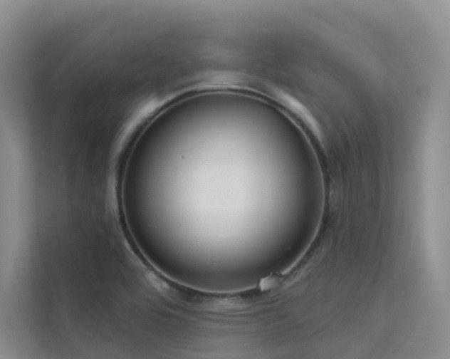 X0000112161464200908071128