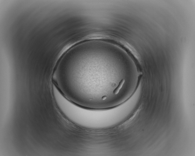 X0000112161465200908071128