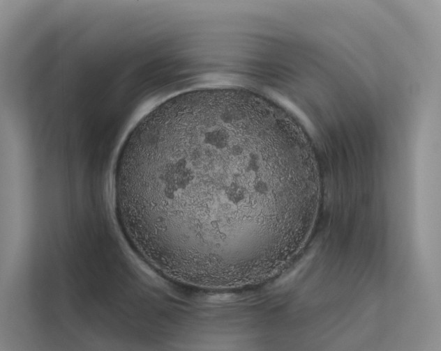 X0000112161467200908071128