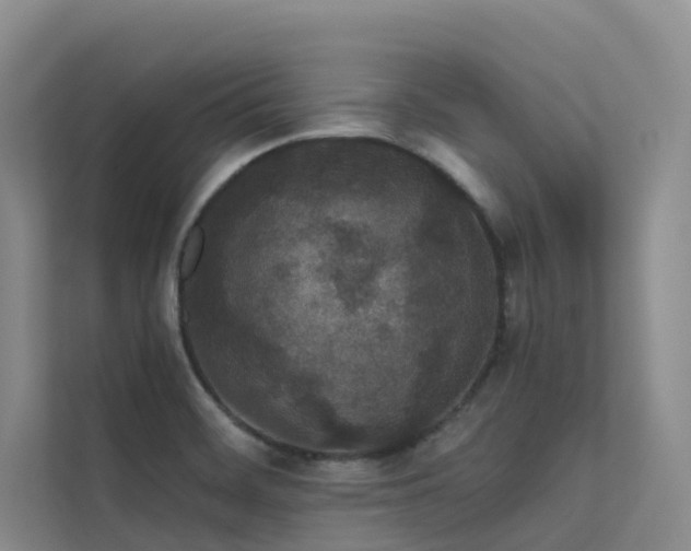 X0000112161468200908071128