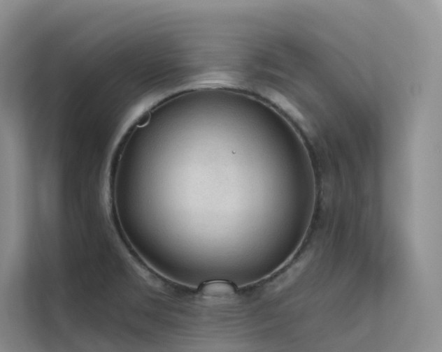 X0000112161469200908071128