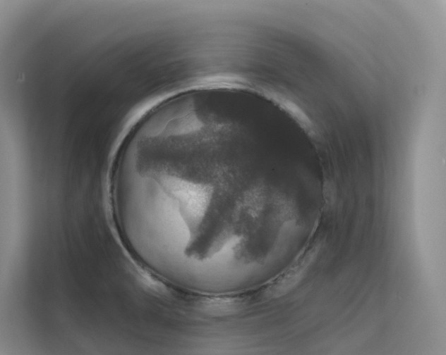 X0000112161470200908071128