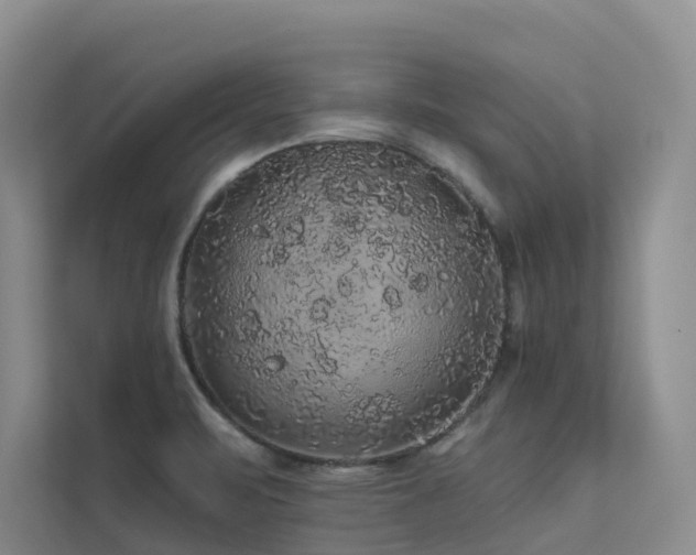 X0000112161471200908071128