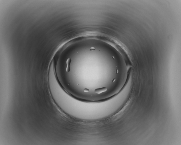 X0000112161473200908071128