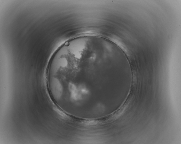 X0000112161474200908071128