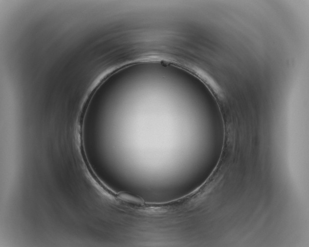 X0000112161476200908071128