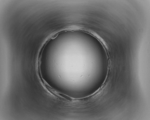 X0000112161477200908071128