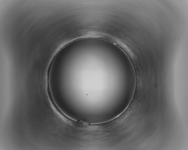 X0000112161479200908071128