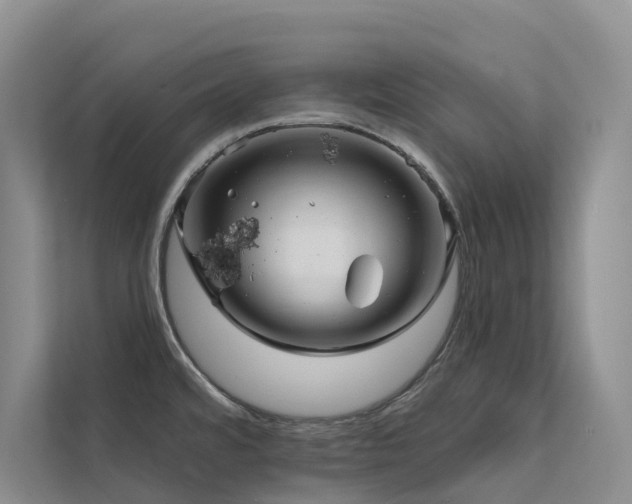 X0000112161480200908071128