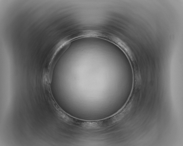 X0000112161481200908071128