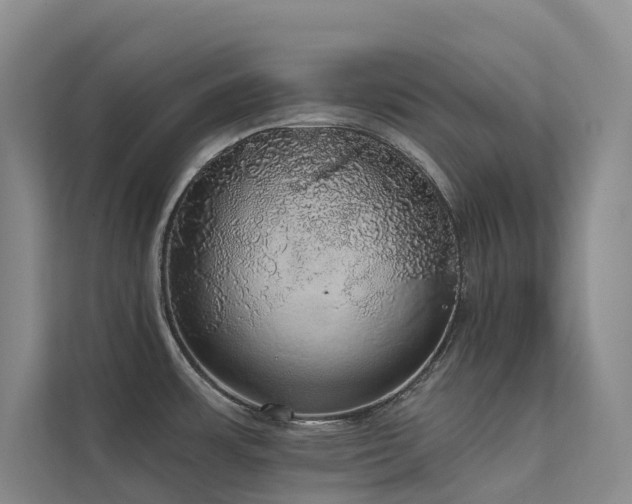 X0000112161483200908071128