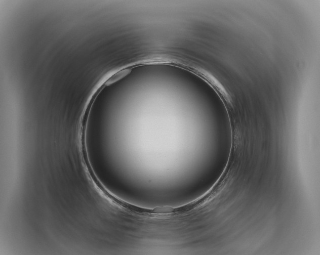 X0000112161484200908071128
