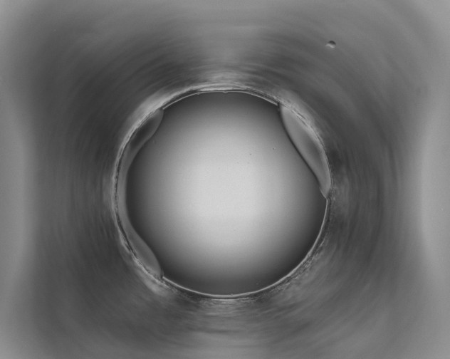 X0000112161485200908071128