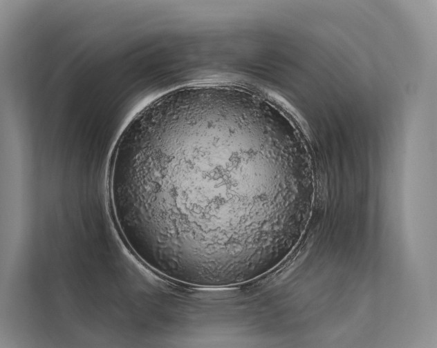 X0000112161487200908071128