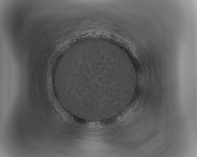 X0000112161489200908071127
