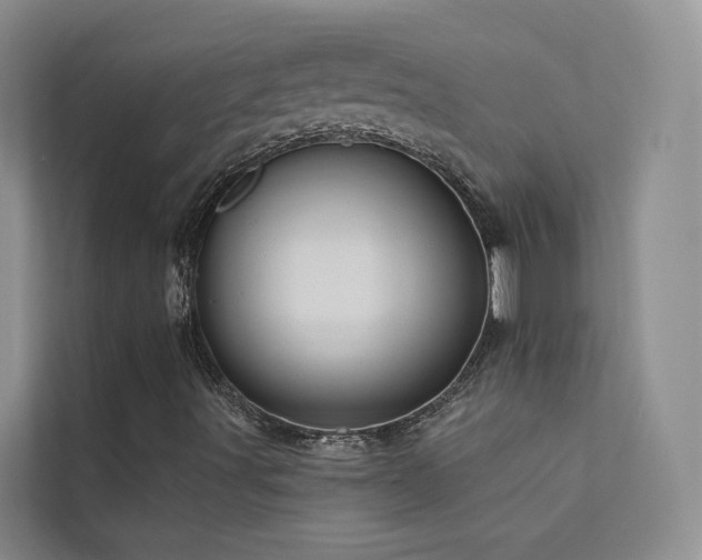 X0000112161491200908071127
