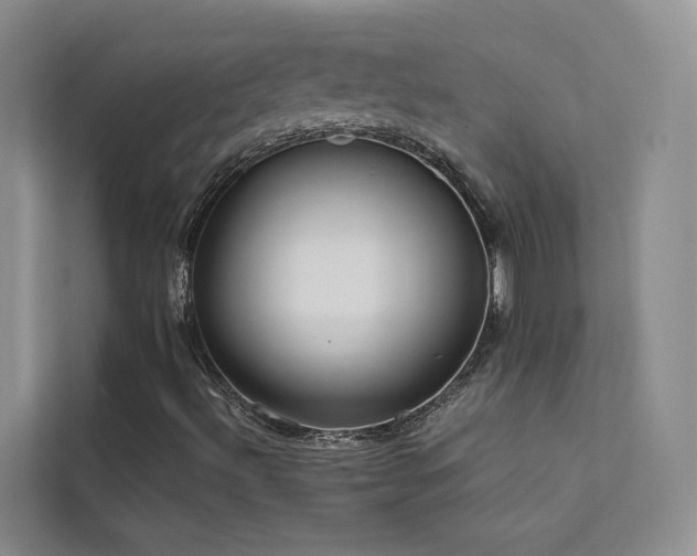 X0000112161492200908071127