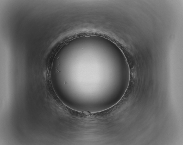 X0000112161495200908071127