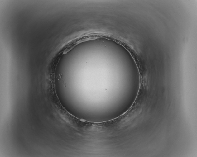 X0000112161496200908071127