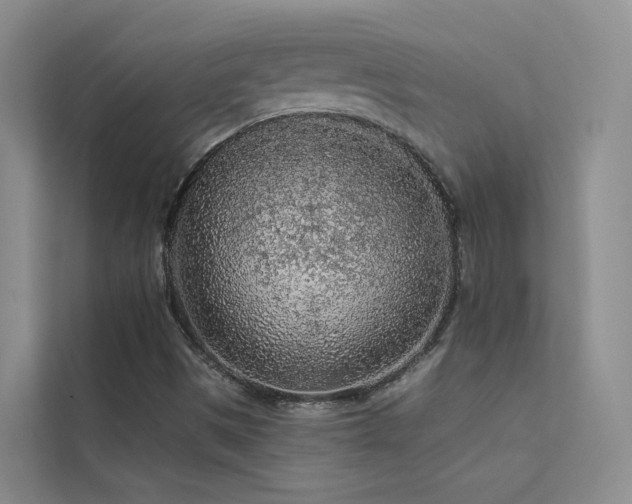 X0000112161497200908071127