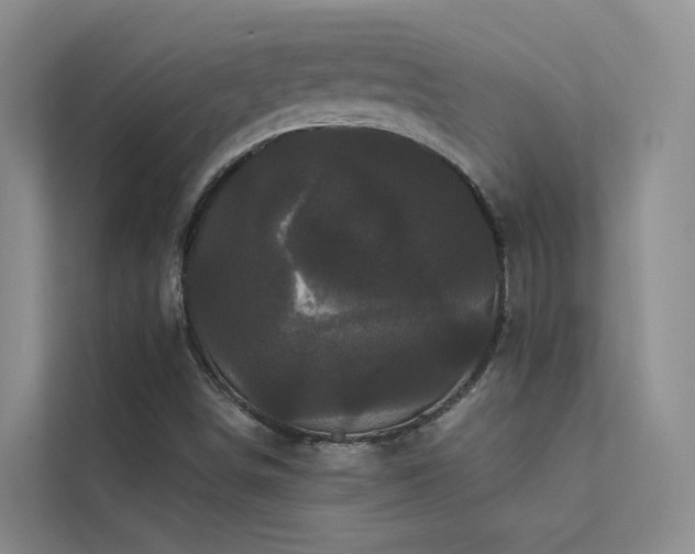 X0000112161498200908071127