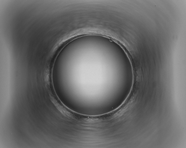 X0000112161499200908071127