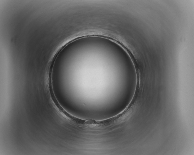 X0000112161500200908071127