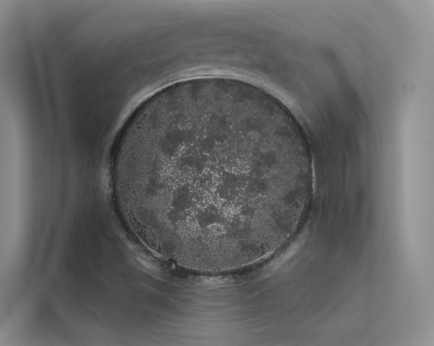 X0000112161501200908071127