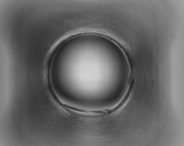 X0000112161502200908071128