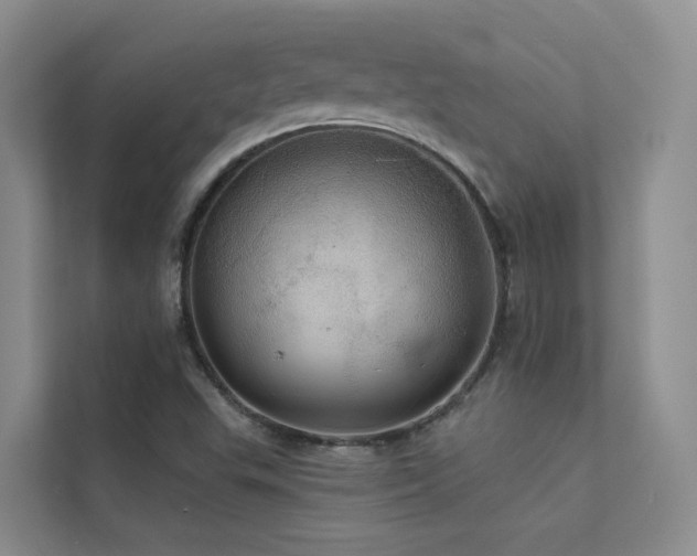 X0000112161503200908071128