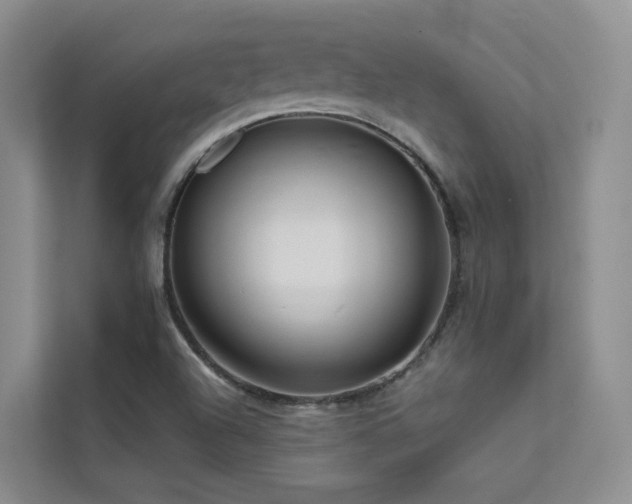 X0000112161504200908071128