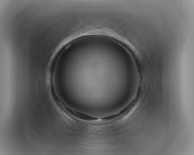 X0000112161506200908071128