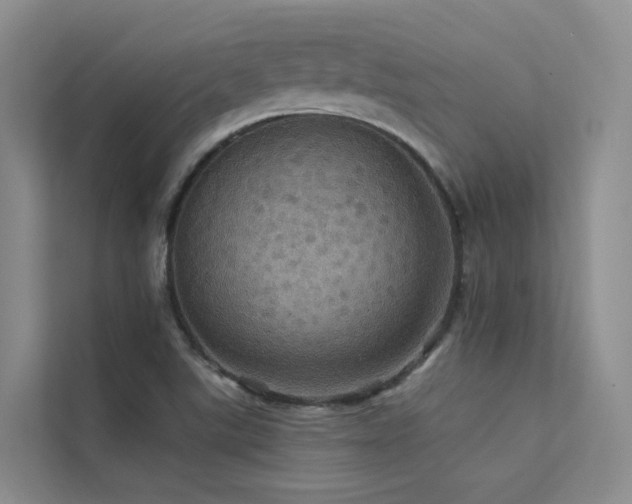 X0000112161507200908071128