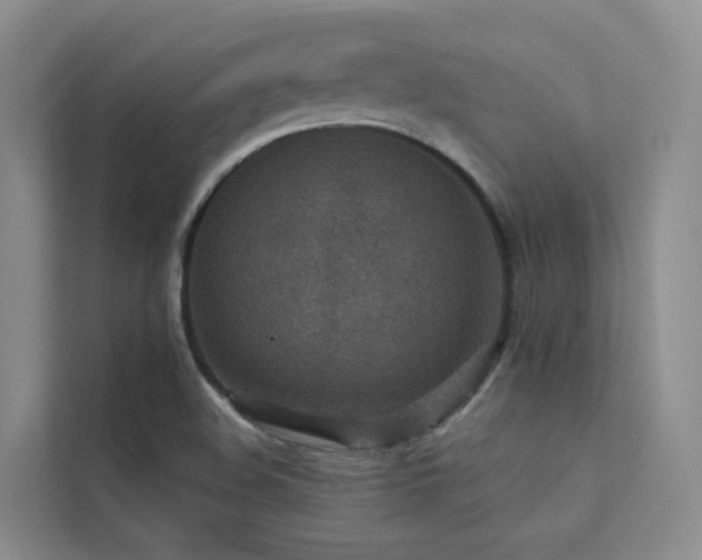 X0000112161508200908071128