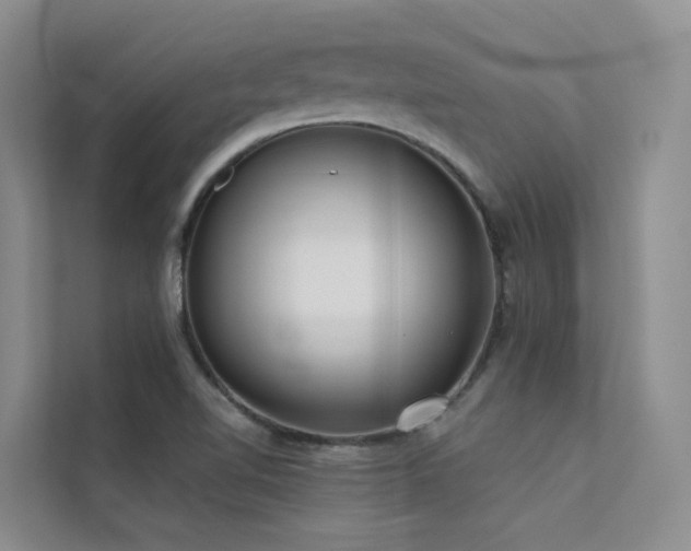 X0000112161510200908071128