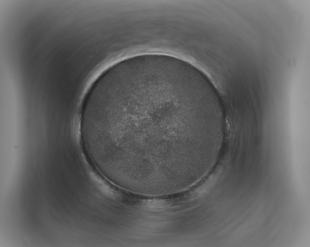 X0000112161511200908071128