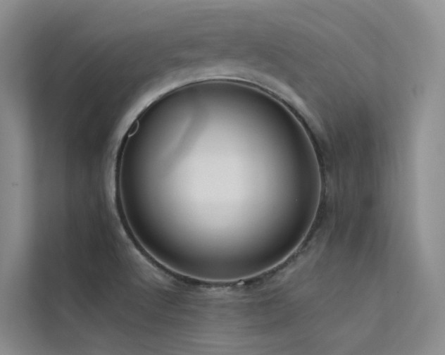 X0000112161512200908071128