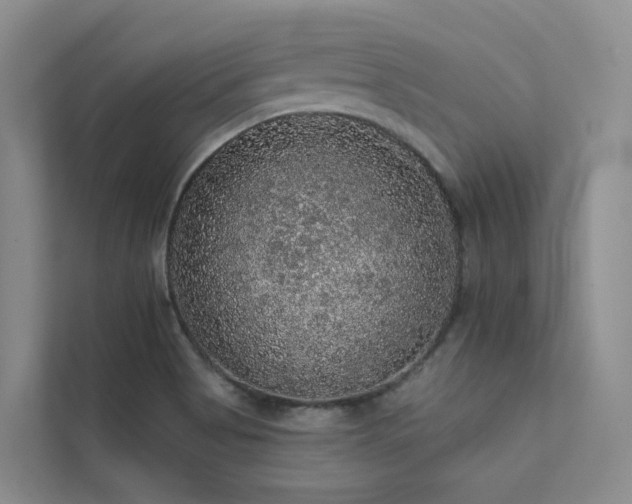 X0000112161513200908071128