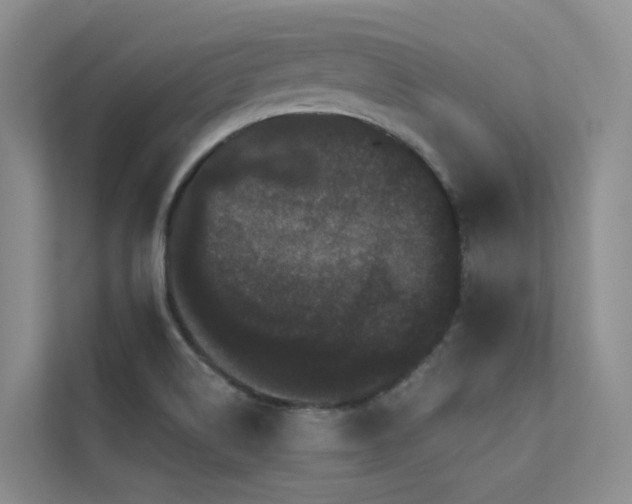 X0000112161514200908071128