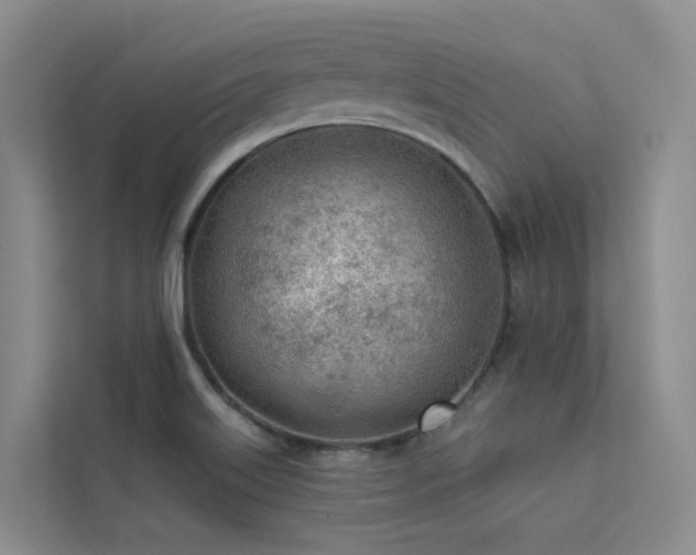 X0000112161515200908071128
