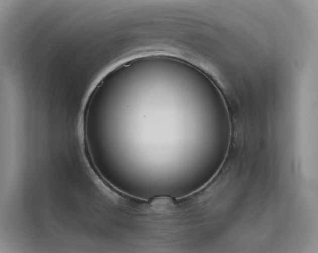 X0000112161516200908071128