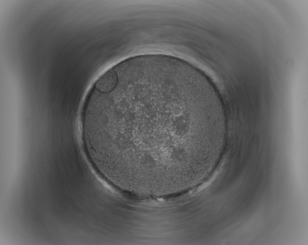 X0000112161517200908071128