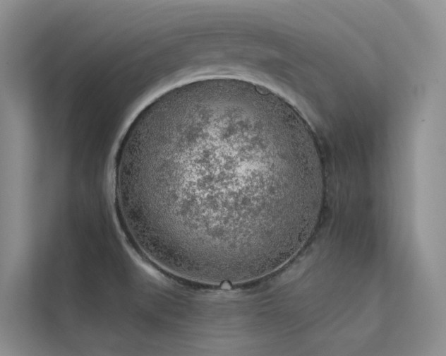 X0000112161519200908071128