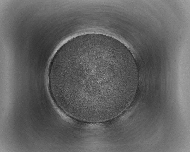 X0000112161523200908071128