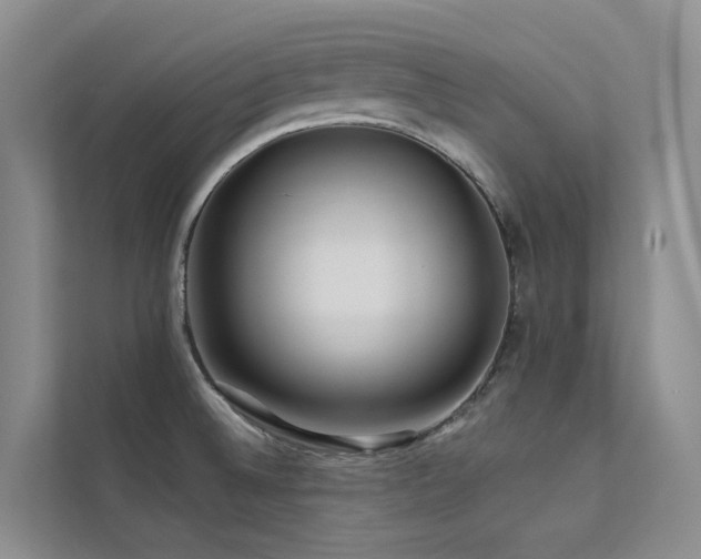 X0000112161524200908071128