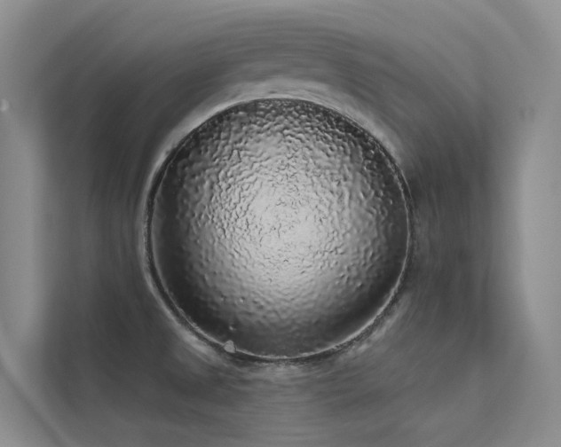 X0000112161525200908071128