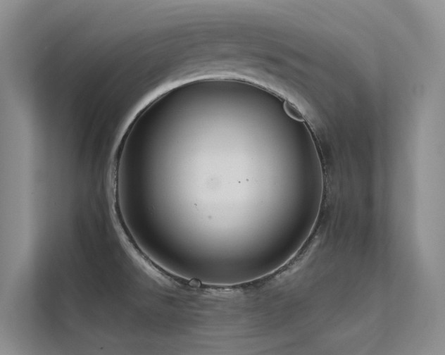 X0000112161526200908071128