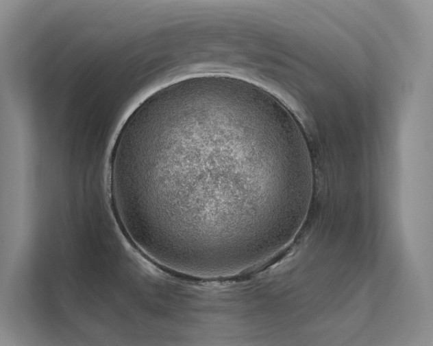 X0000112161527200908071128