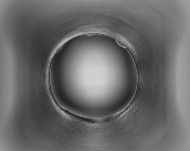 X0000112161528200908071128